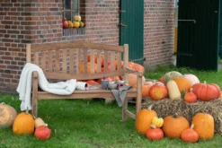 Kuscheldecke Beige 9 Kuscheldecke Beige -Schemel Shop kuscheldecke 150x200cm beige 5